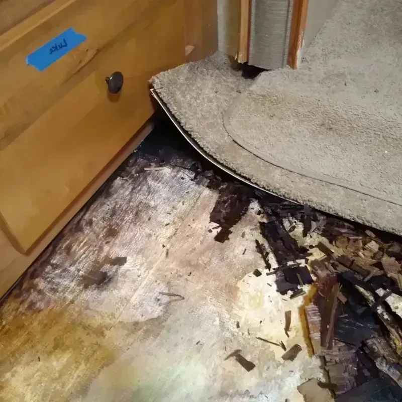 Wood Floor Water Damage in Winter Park, FL